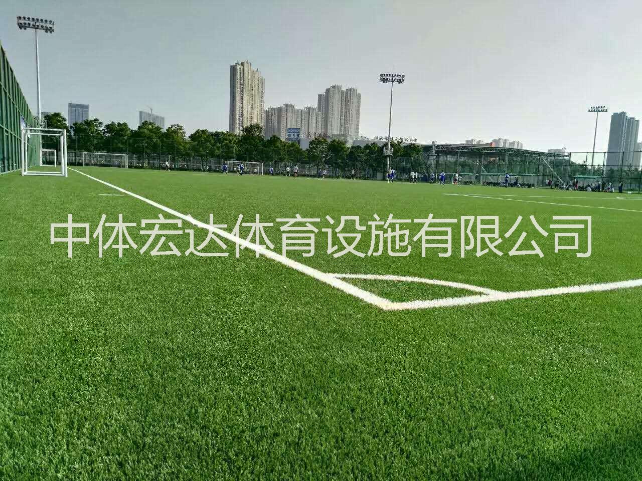 人造草坪中體宏達(dá)體育