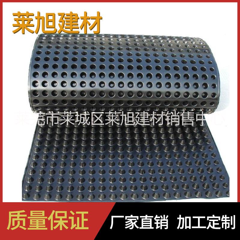 蓄排水板 山東蓄排水板濾水板廠家直銷量大優(yōu)惠