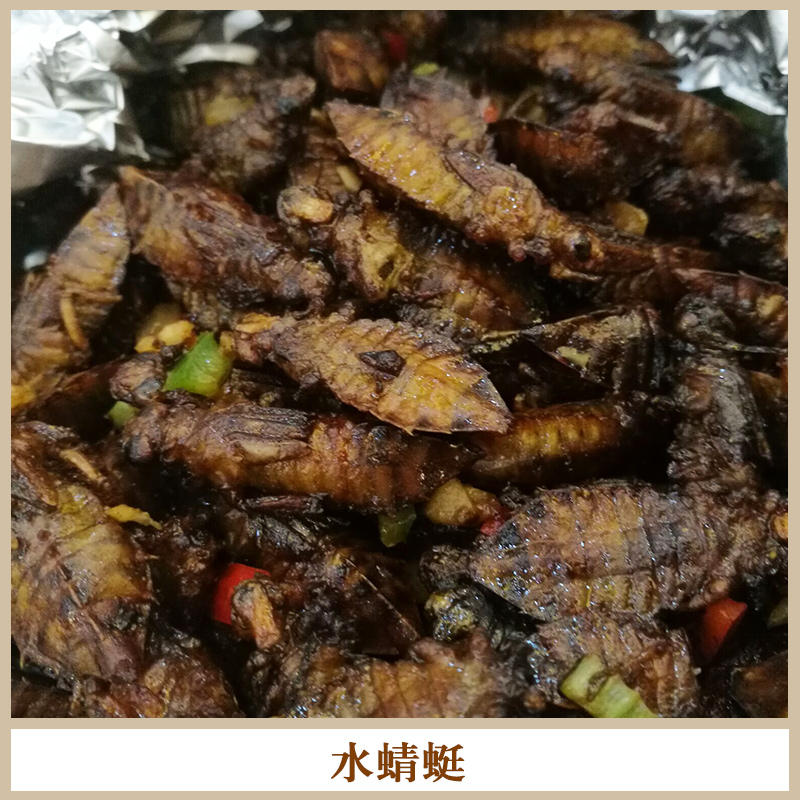 高蛋白食品冰鮮水蜻蜓 食用*昆蟲食材冰鮮水*/蜻蜓幼蟲