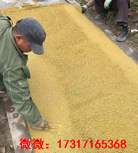 金華彩色透水混凝土