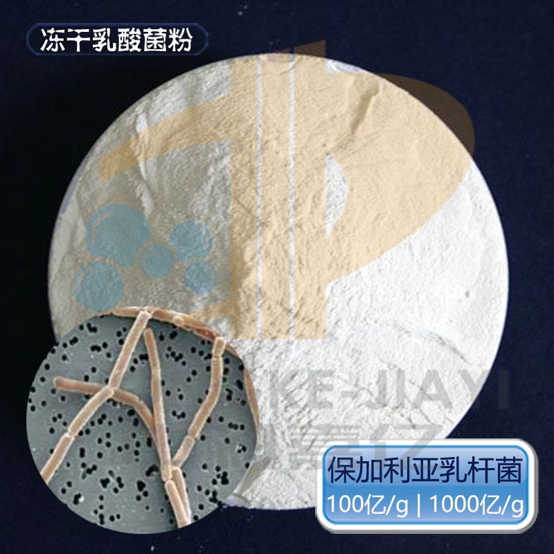 保加利亞乳桿菌100億 乳酸菌