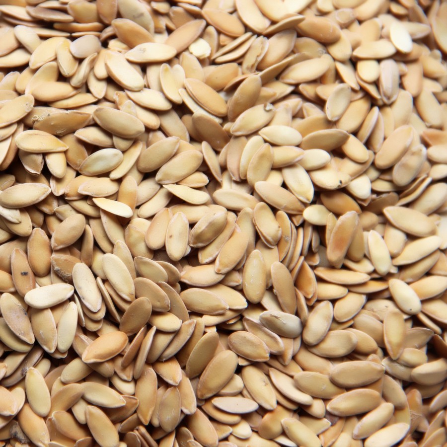 山東牡丹江黃瓜子價(jià)格@山東收購牡丹江黃瓜子@山東牡丹江黃瓜子出售