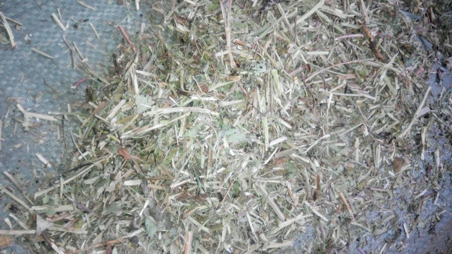 ?？h玉才飼料銷售