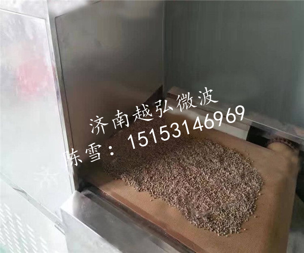含運費的連續(xù)式微波農(nóng)副產(chǎn)品烘焙設(shè)備