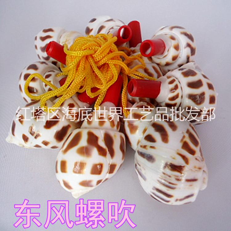狂賣兒童熱愛螺吹 天然貝殼批發(fā)