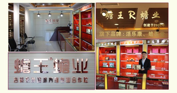 養(yǎng)殖蟾蜍 蟾蜍養(yǎng)殖場蟾蜍養(yǎng)殖技術(shù)