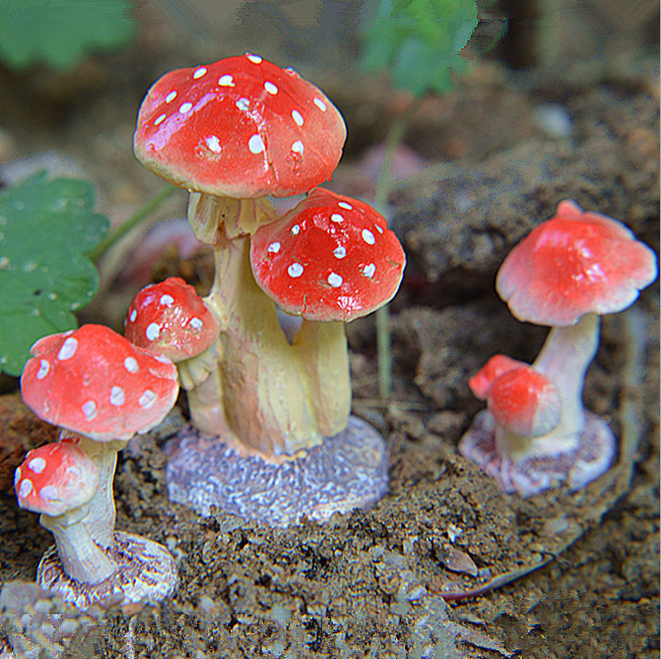 廣東小蘑菇 園藝盆栽擺件苔蘚微景觀裝飾品DIY小禮物熱銷工藝品