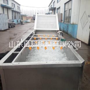 芹菜清洗機(jī)