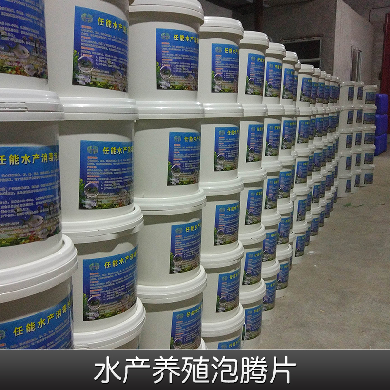 供應(yīng)養(yǎng)鮑魚消毒片消毒劑消毒粉消毒液