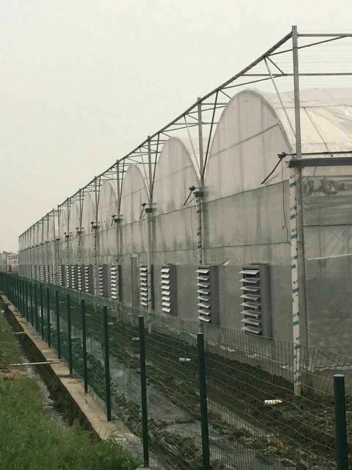 承接撫順盤錦錦州智能溫室大棚育苗室花卉大棚生態(tài)餐廳