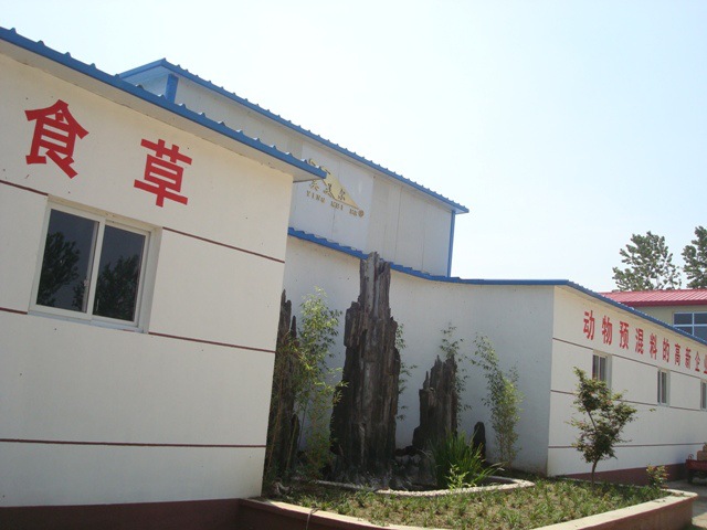 牛長途運(yùn)輸需要注意哪些