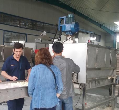 蒜米機(jī)成套設(shè)備新型大蒜脫皮