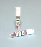 *氫低溫等離子*生物指示劑ATCC7953