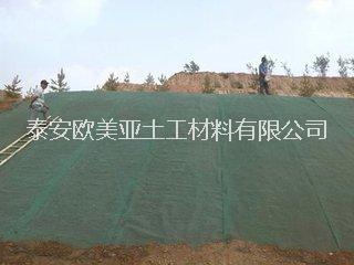三維土工網(wǎng)墊山東歐美亞廠家直銷 各種規(guī)格尺寸定做