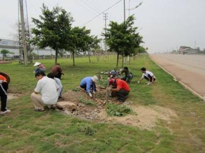 山東草坪價格---- 草坪四季青生產(chǎn)基地--山東草坪銷售-