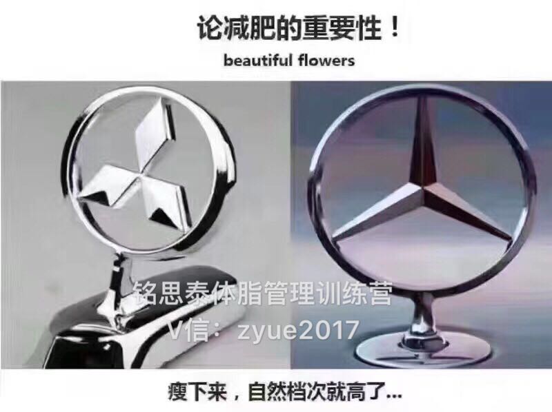 銘思泰體脂管理訓(xùn)練營(yíng)/體型