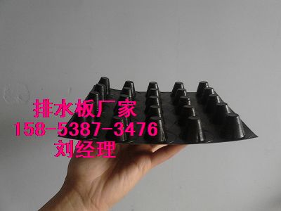 供應(yīng)秦皇島#車庫綠化疏水板）塑料濾水層-價(jià)格實(shí)惠
