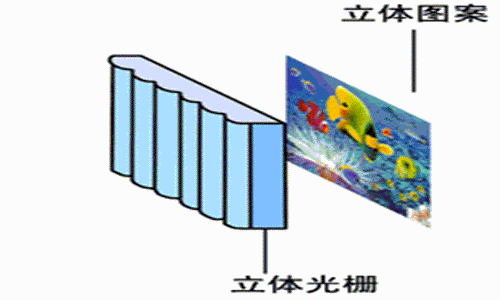 卓特3D廠家直銷裸眼全景奇畫、動感畫多變畫新穎逼真 裸眼全景奇畫、動感畫立體廣告