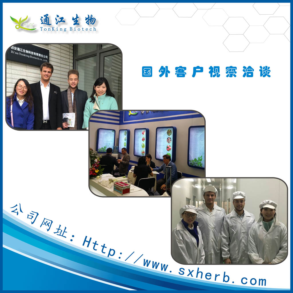 *廠家供應(yīng)干姜提取物 規(guī)格10