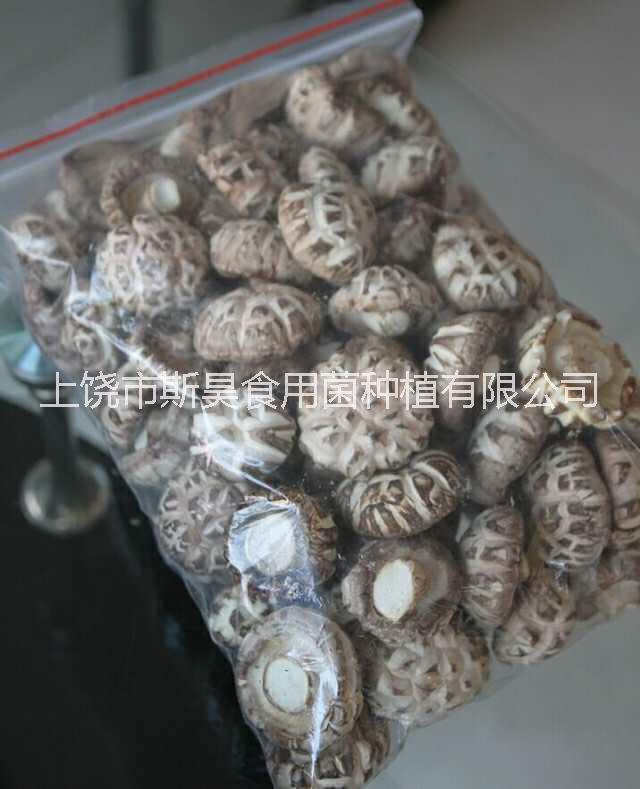 上饒 斯昊菌業(yè){香菇}