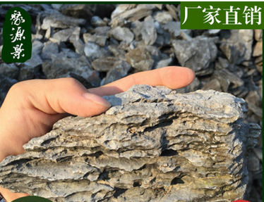 金華魚(yú)缸造景石批發(fā) 金華魚(yú)缸造景石報(bào)價(jià) 金華魚(yú)缸造景石廠家