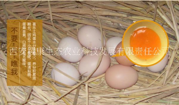 土雞蛋