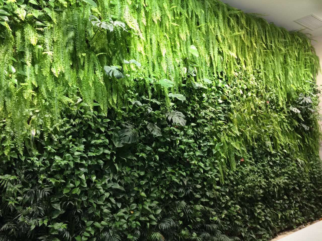 植物墻廠家_杭州綠植墻施工_垂直綠化咨詢(xún)電話(huà)13588384429