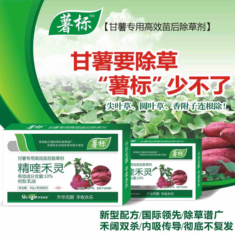 甘薯*薯標批發(fā)  如何使用甘薯*  甘薯*種類