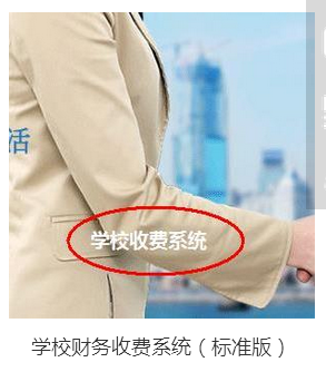 學(xué)校財(cái)務(wù)收費(fèi)系統(tǒng)（標(biāo)準(zhǔn)版）