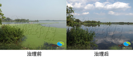 邦源環(huán)保特有的水環(huán)境治理技術(shù) 治理水環(huán)境產(chǎn)品