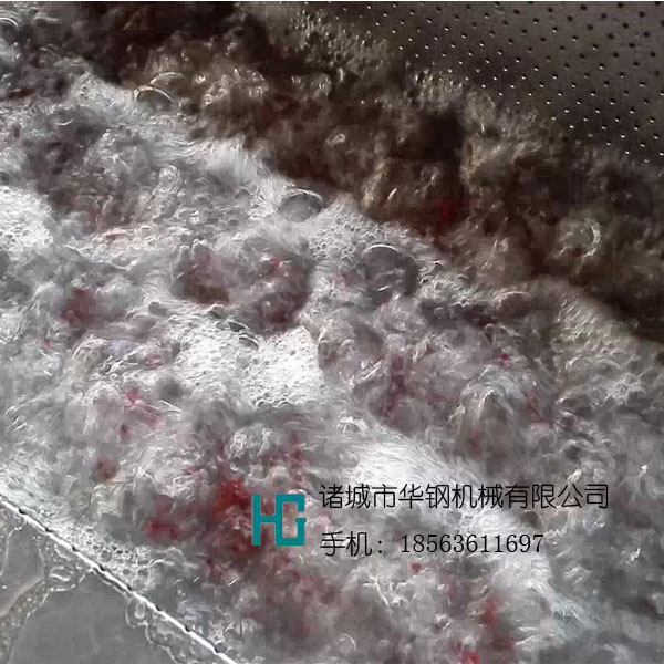 新疆大棗清洗機，大棗連續(xù)清洗設(shè)備