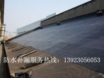 臺山市水步鎮(zhèn)防水補漏公司