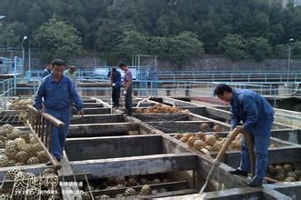 武昌區(qū)污水清理池多少錢(qián)，武昌區(qū)清理污水池清理沉淀池清掏服務(wù)中心