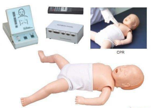 供應(yīng)*嬰兒復(fù)蘇模擬人_心肺復(fù)蘇模擬人_嬰兒心肺復(fù)蘇模型