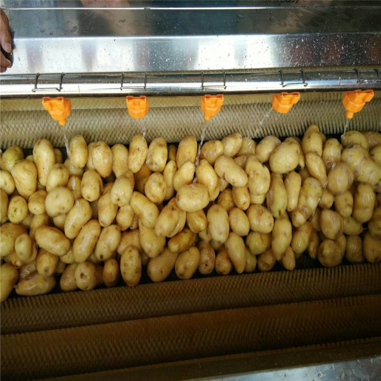 廠家直銷土豆去皮機(jī)土豆清洗機(jī)
