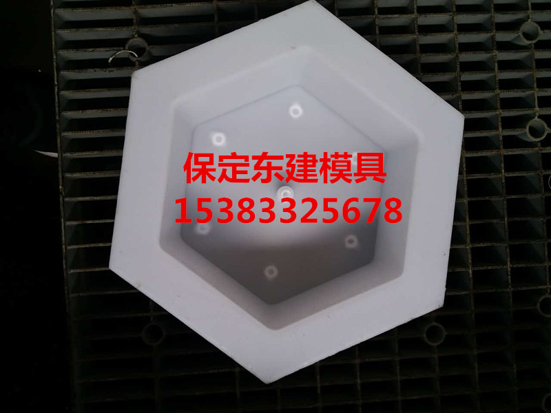 保定東建模具 供應(yīng)六棱塊護(hù)坡塑料模具