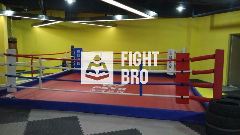 *落地摔跤散打拳擊擂臺 MMA UFC比賽訓練培訓開課使用拳臺