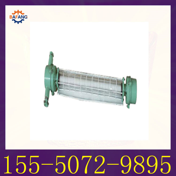 DGS20-127Y礦用隔爆型熒光燈 1礦用隔爆型熒光燈