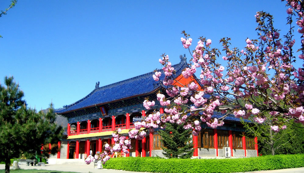 清東陵萬佛園燕山塔陵墓地 清東陵萬佛園燕山塔陵墓地 *寶