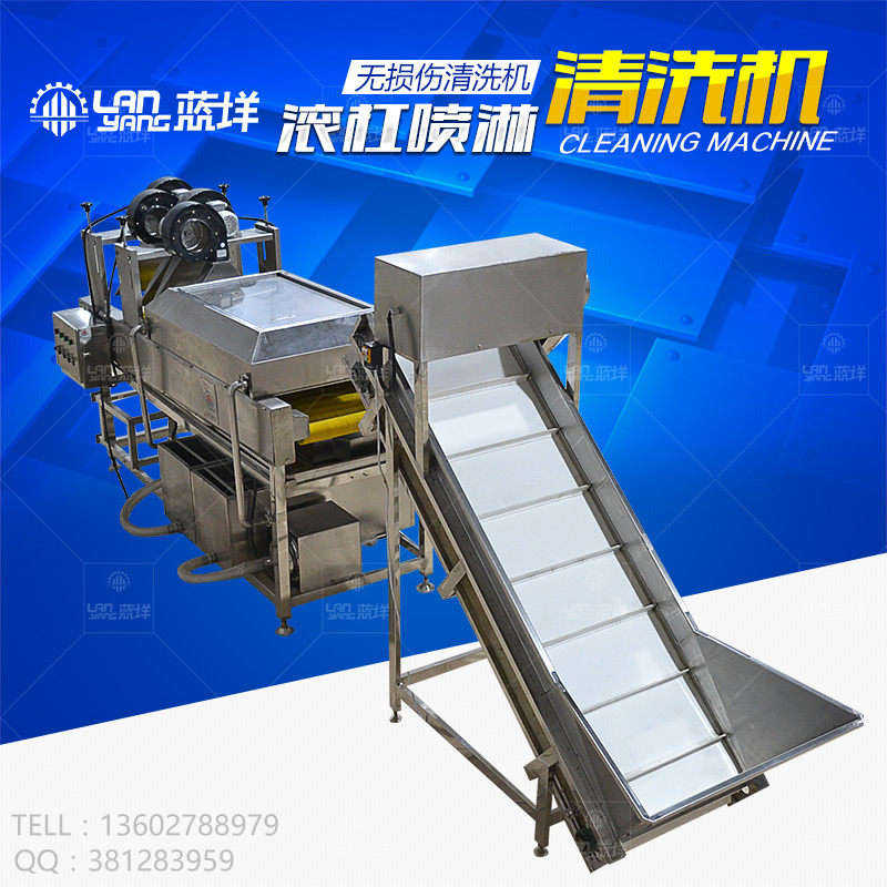 廣州菠菜清洗機(jī) 滾杠式噴淋清洗設(shè)備 洗果機(jī) 大棗清洗機(jī) 直營