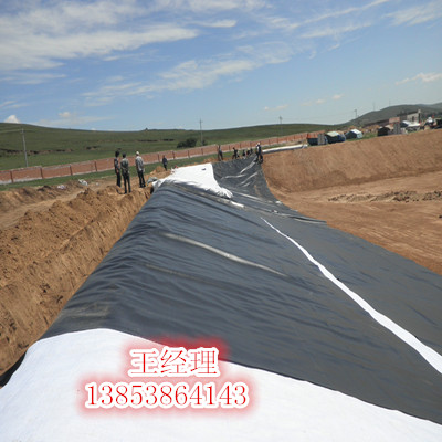 安徽【淺水藕池*防滲膜價格】蕪 安徽@蕪湖淺水藕池*防滲膜價格