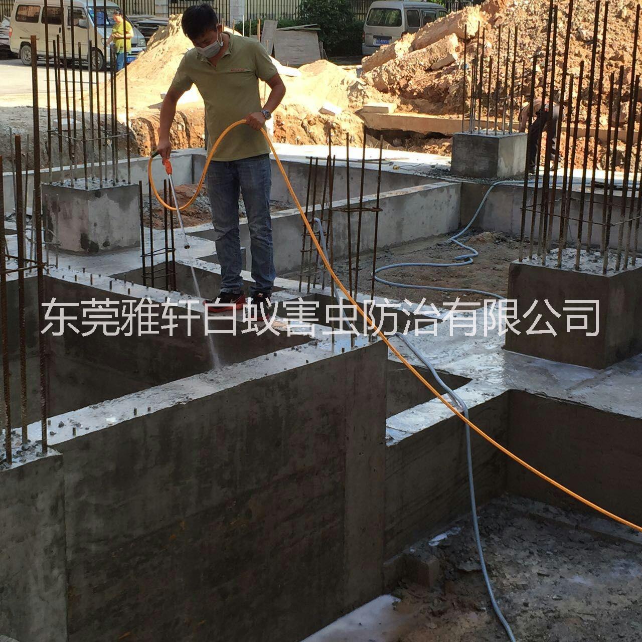 供應(yīng)石排橫瀝常滅白蟻公司