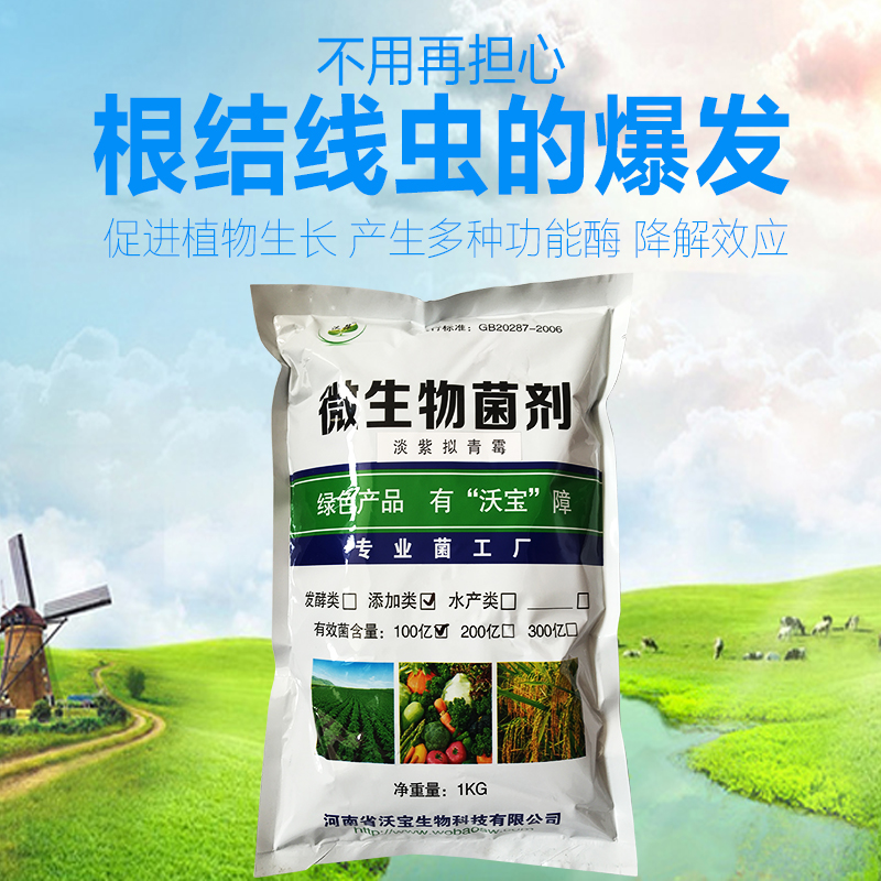 沃寶淡紫擬青霉，根結(jié)線蟲(chóng)防治