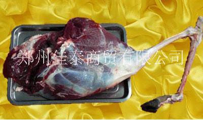 冷凍鹿肉批發(fā)-冷凍鹿鞭批發(fā)-冷凍鹿排批發(fā)廠家-冷凍鹿肚供應商家-進口鹿腿肉銷售