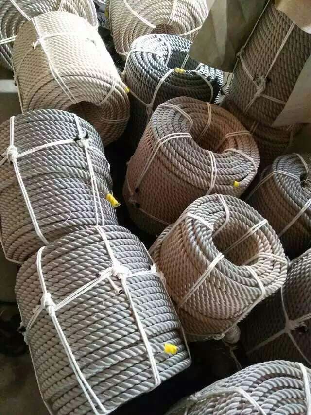 山東安全繩廠家報(bào)價(jià)-山東安全繩*-山東安全繩廠家價(jià)格