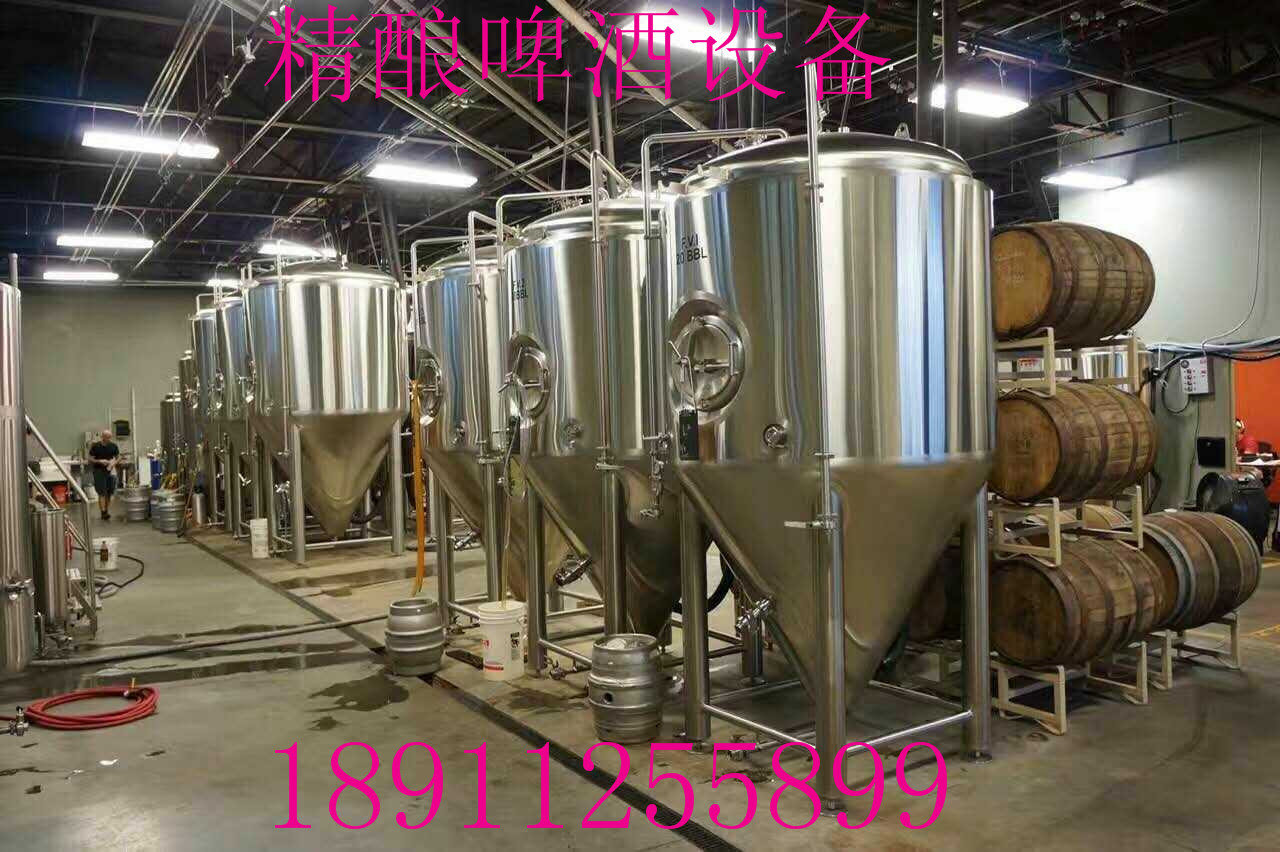 供應(yīng)德國(guó)哪有賣自釀啤酒設(shè)備？多錢一套