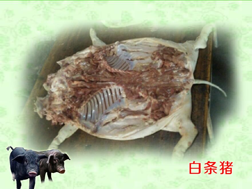 廣州*肉批發(fā)市場，深圳*肉批發(fā)價(jià)格，*報(bào)價(jià)，廣州*批發(fā)市