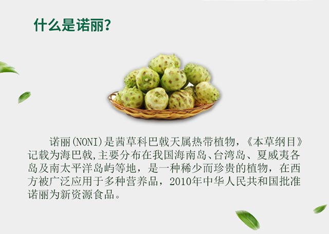 冷榨椰子油 諾麗酵素 關(guān)于我們  Beeston/百舒堂諾麗果粉