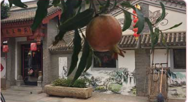 臨潼哪家兵馬俑周邊農(nóng)家樂有特色_臨潼秦王御苑酒店 臨潼兵馬俑周邊農(nóng)家樂