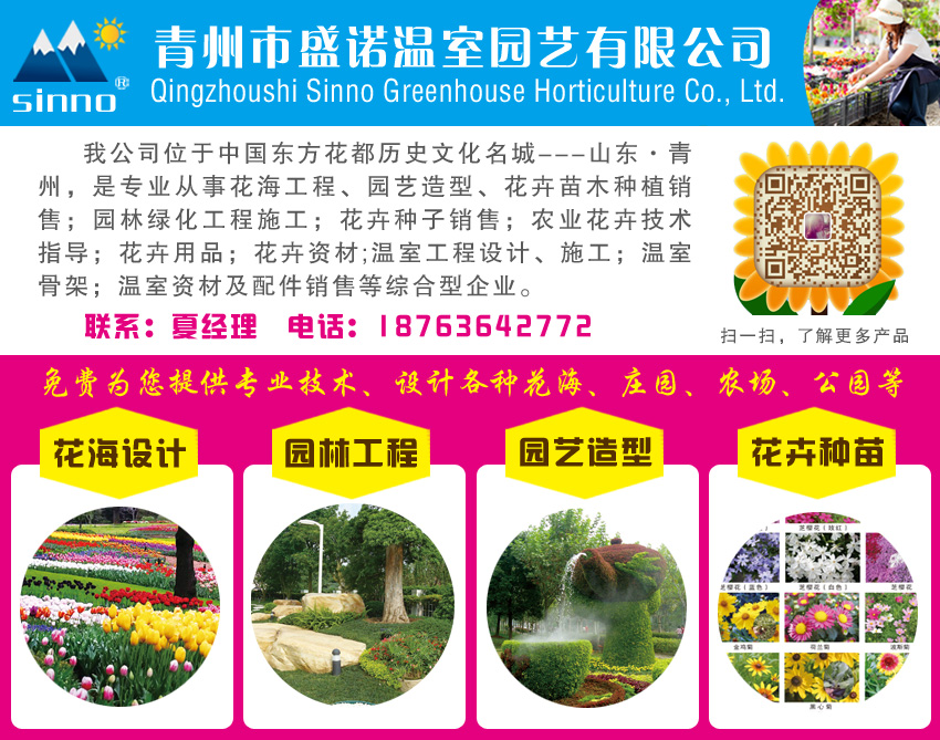 盛諾 專業(yè)庭院景觀設(shè)計(jì) 承接園林工程